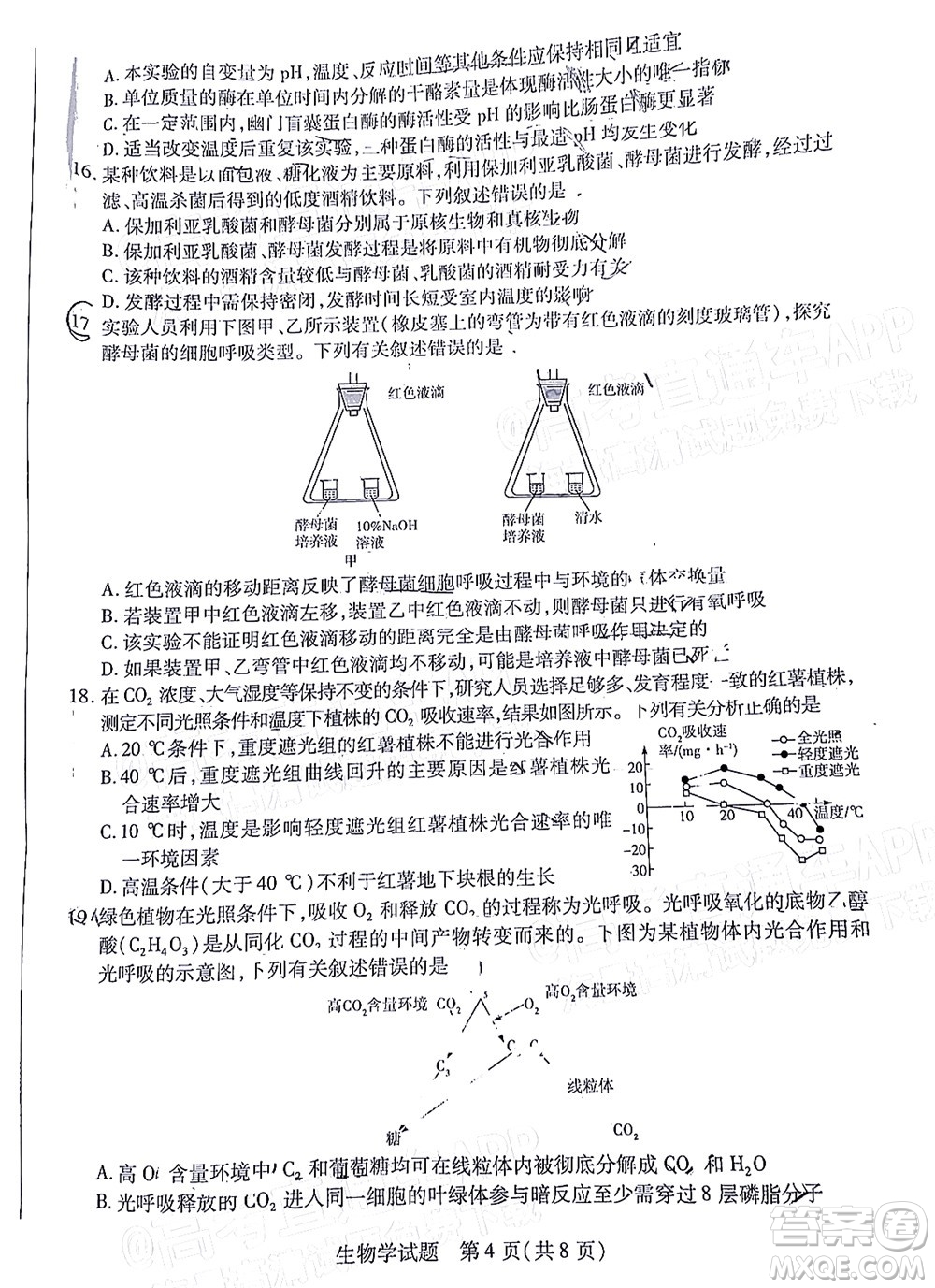 皖豫名校聯(lián)盟2023屆高中畢業(yè)班第一次考試生物學試題及答案