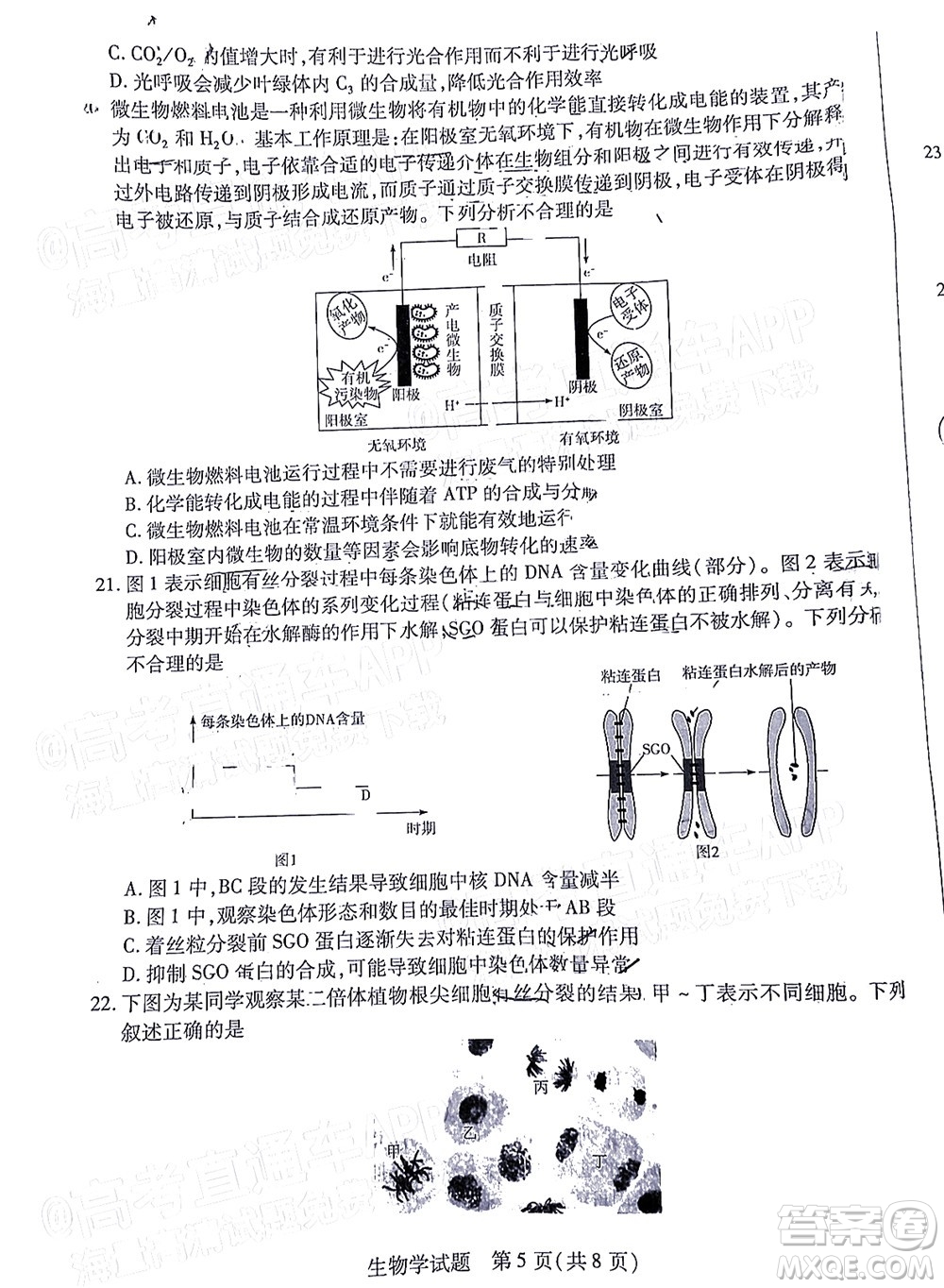 皖豫名校聯(lián)盟2023屆高中畢業(yè)班第一次考試生物學試題及答案