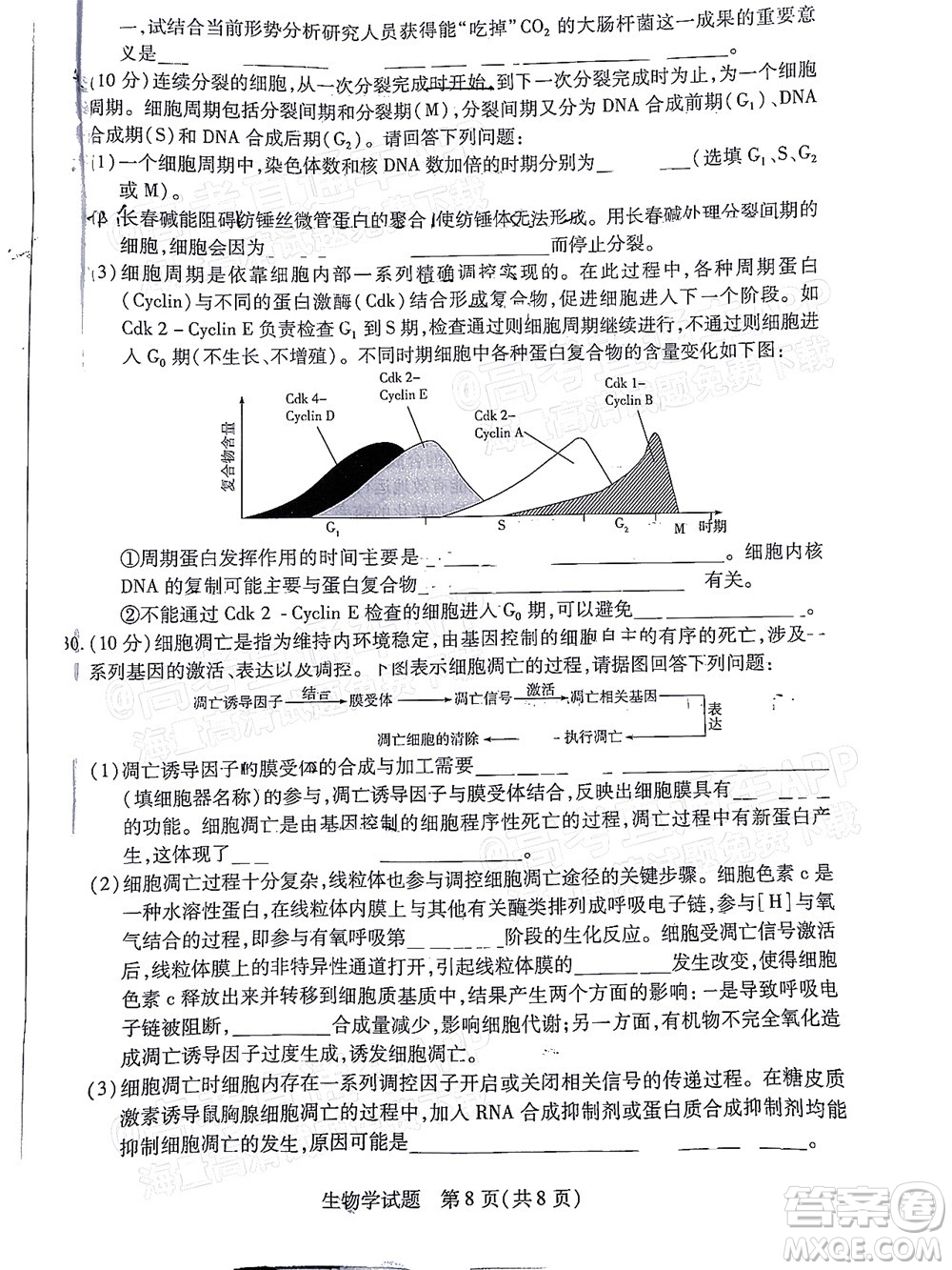 皖豫名校聯(lián)盟2023屆高中畢業(yè)班第一次考試生物學試題及答案