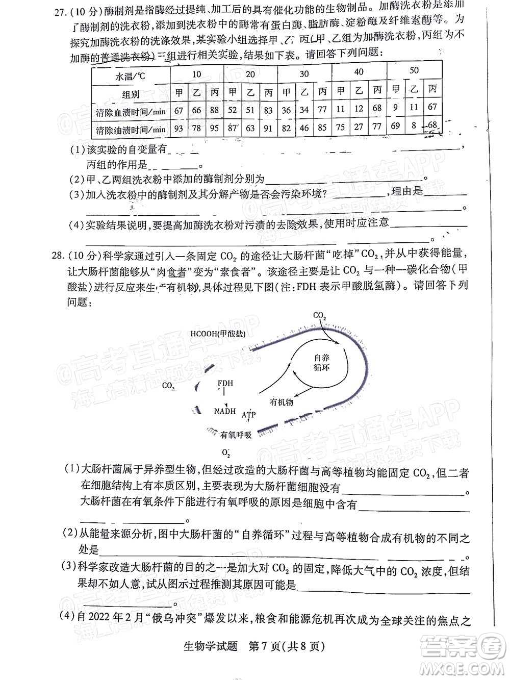 皖豫名校聯(lián)盟2023屆高中畢業(yè)班第一次考試生物學試題及答案