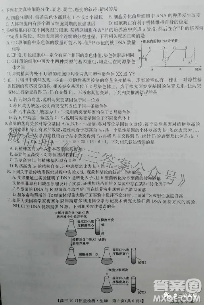 2023屆河北九師聯(lián)盟新高考高三10月質(zhì)量檢測生物試題及答案