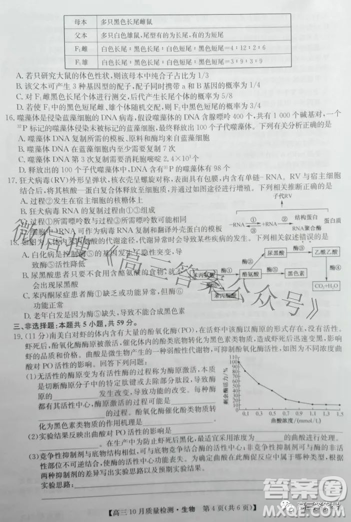 2023屆河北九師聯(lián)盟新高考高三10月質(zhì)量檢測生物試題及答案