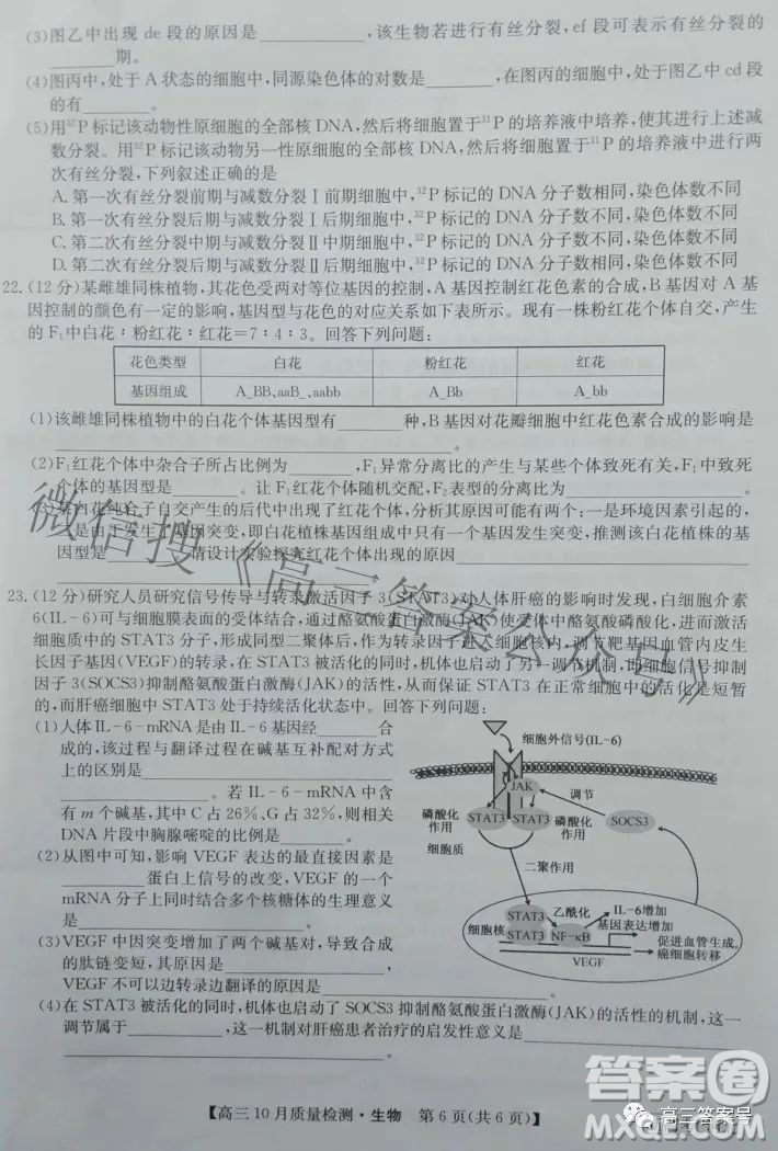 2023屆河北九師聯(lián)盟新高考高三10月質(zhì)量檢測生物試題及答案