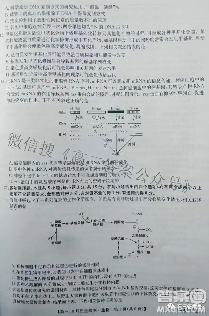 2023屆河北九師聯(lián)盟新高考高三10月質(zhì)量檢測生物試題及答案