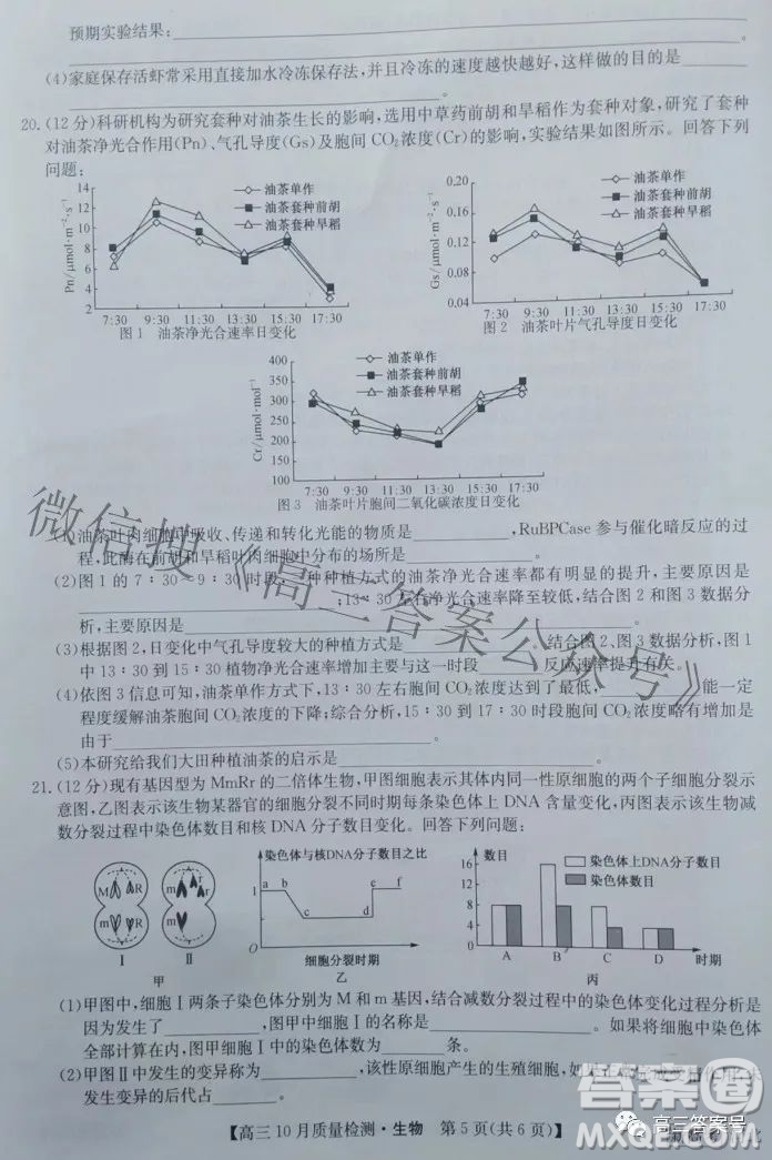 2023屆河北九師聯(lián)盟新高考高三10月質(zhì)量檢測生物試題及答案