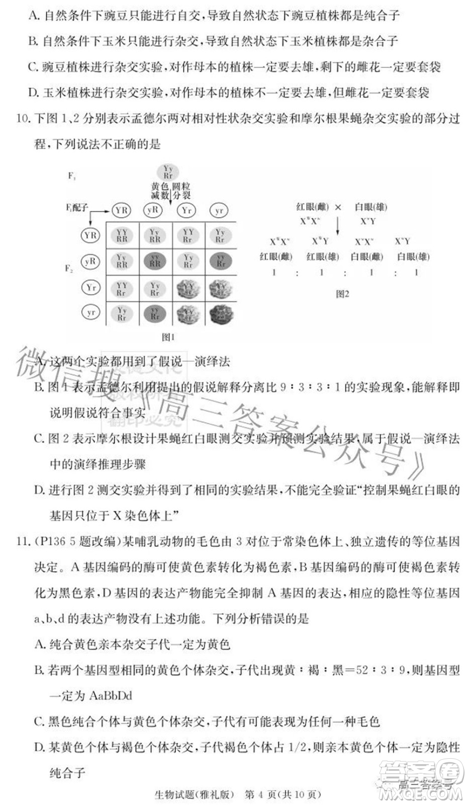 雅禮中學(xué)2023屆高三月考試卷二生物試題及答案