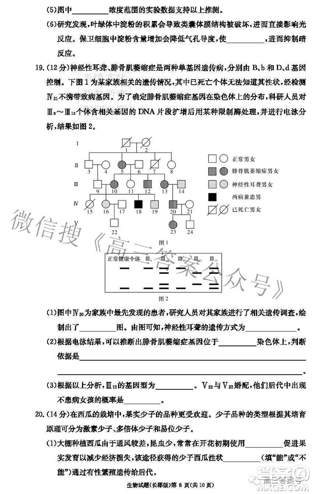 長(zhǎng)郡中學(xué)2023屆高三月考試卷二生物試題及答案