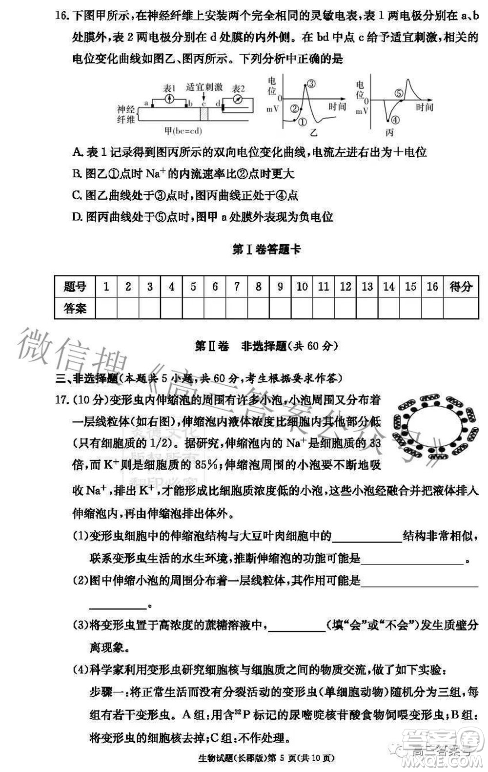 長(zhǎng)郡中學(xué)2023屆高三月考試卷二生物試題及答案