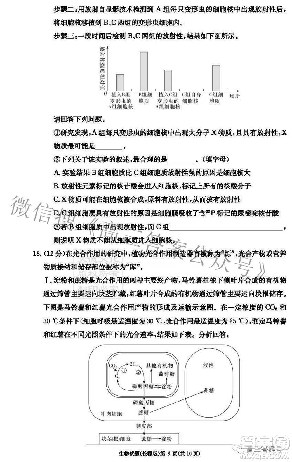 長(zhǎng)郡中學(xué)2023屆高三月考試卷二生物試題及答案