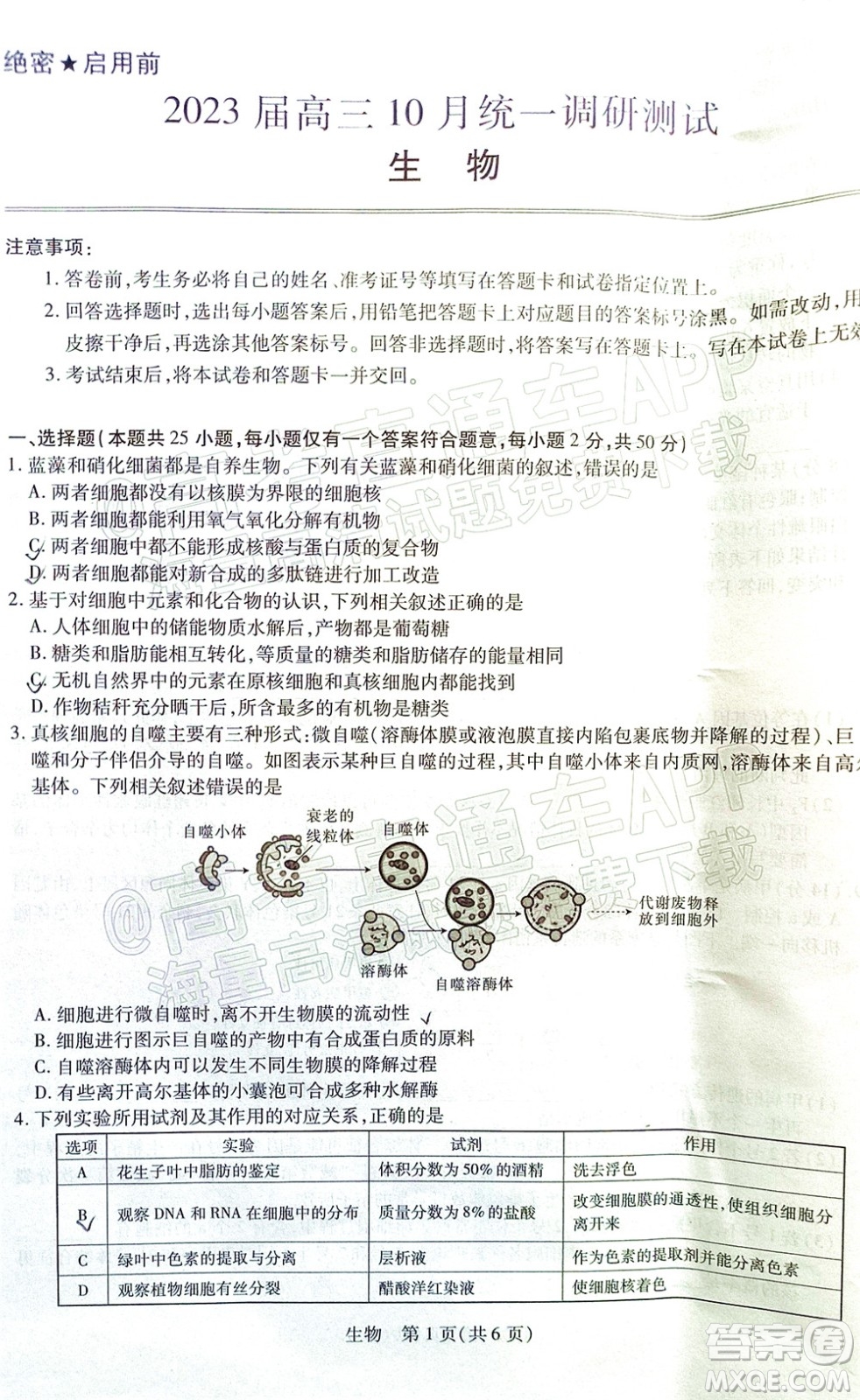 江西穩(wěn)派智慧上進2023屆高三10月統(tǒng)一調研測試生物試題及答案