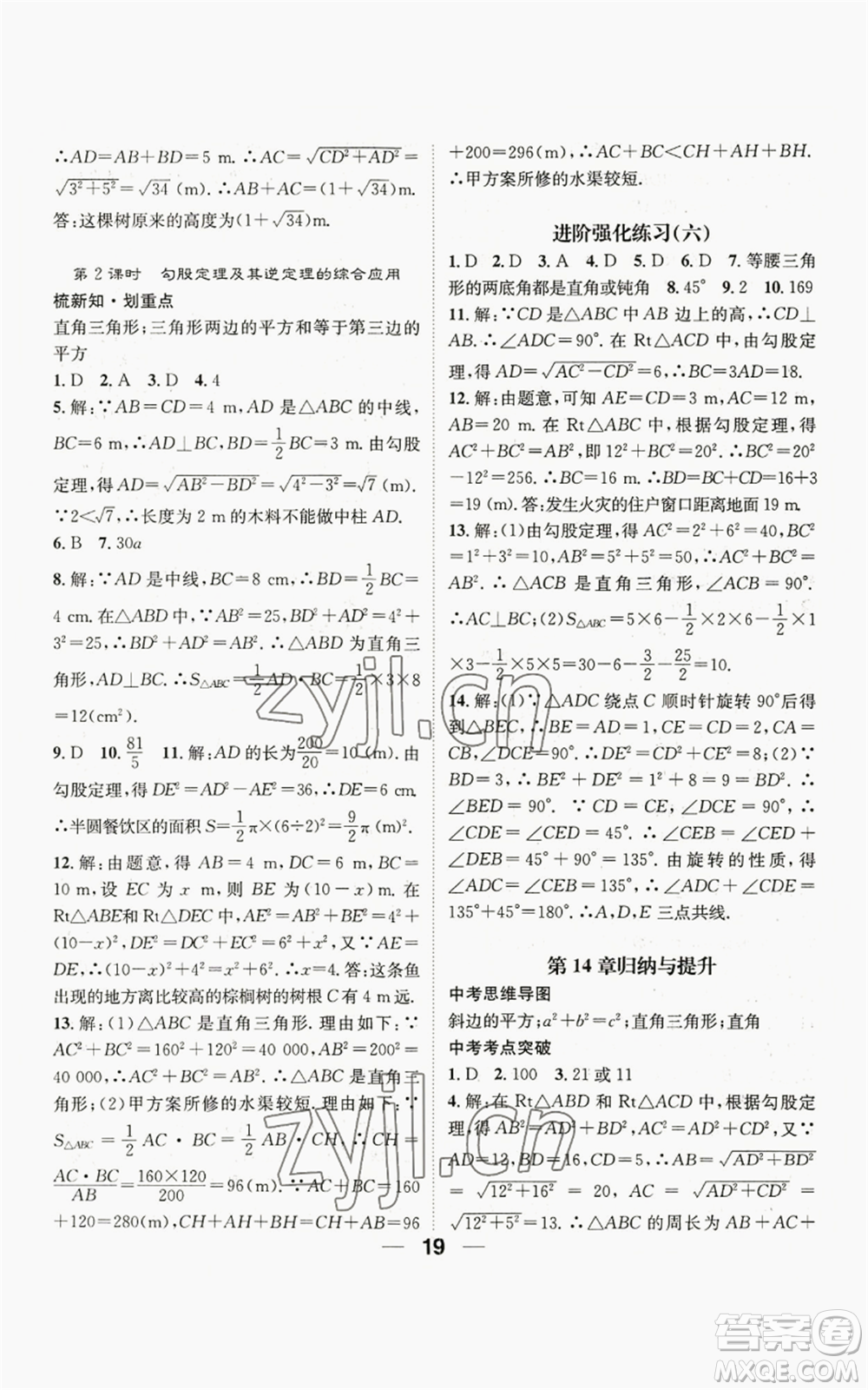 陽光出版社2022精英新課堂八年級上冊數(shù)學(xué)華師大版參考答案