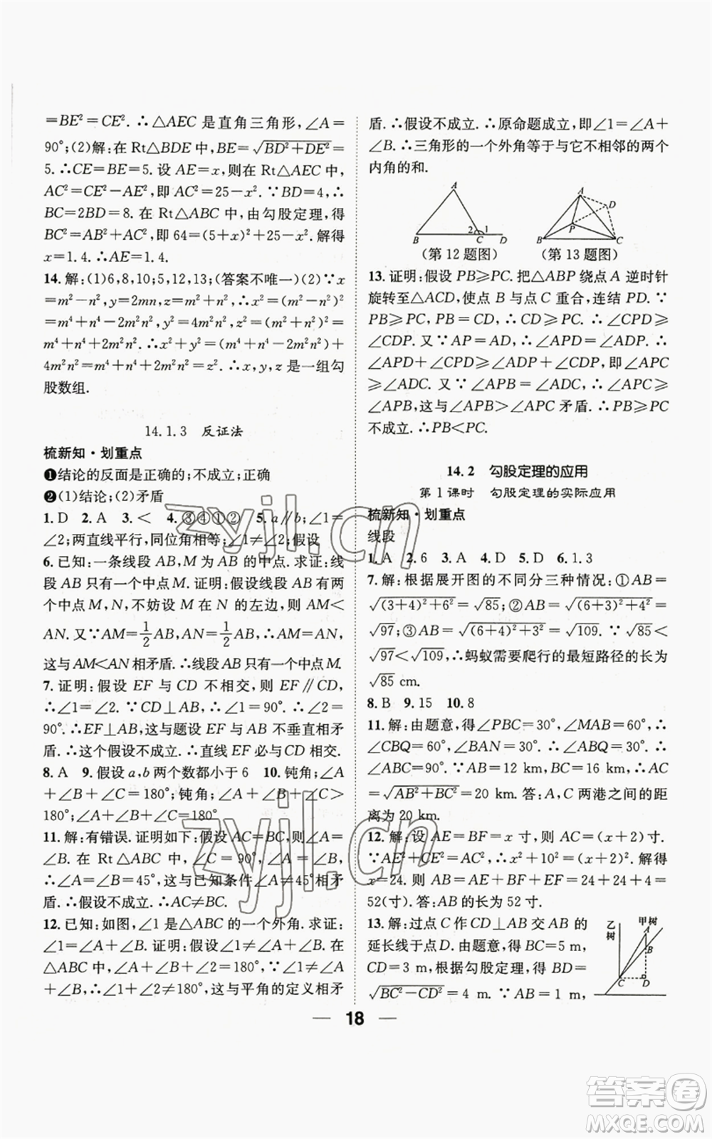 陽光出版社2022精英新課堂八年級上冊數(shù)學(xué)華師大版參考答案