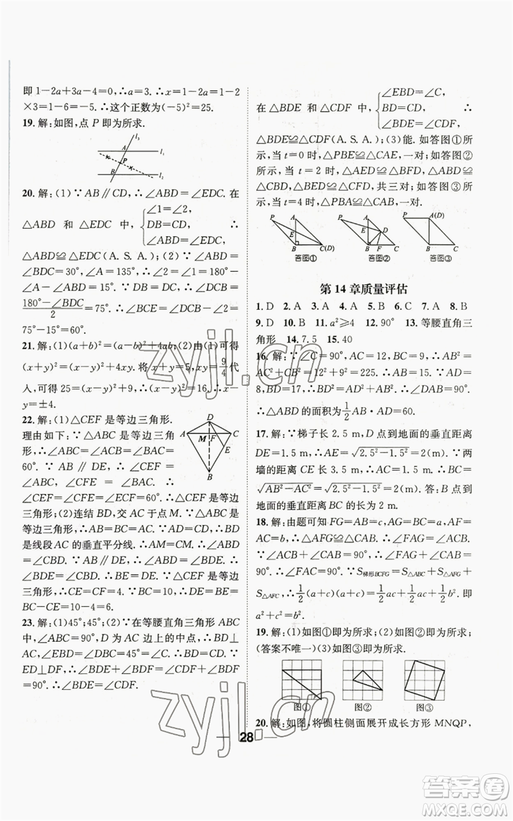 陽光出版社2022精英新課堂八年級上冊數(shù)學(xué)華師大版參考答案