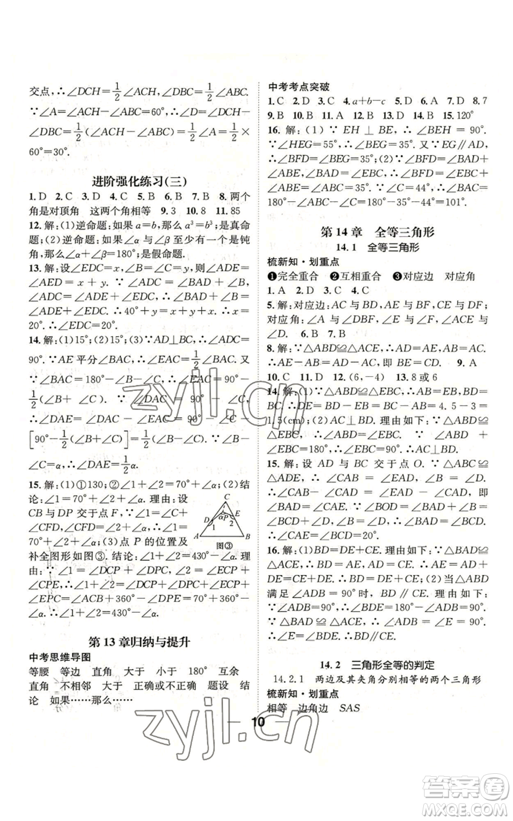 陽光出版社2022精英新課堂八年級上冊數(shù)學滬科版參考答案