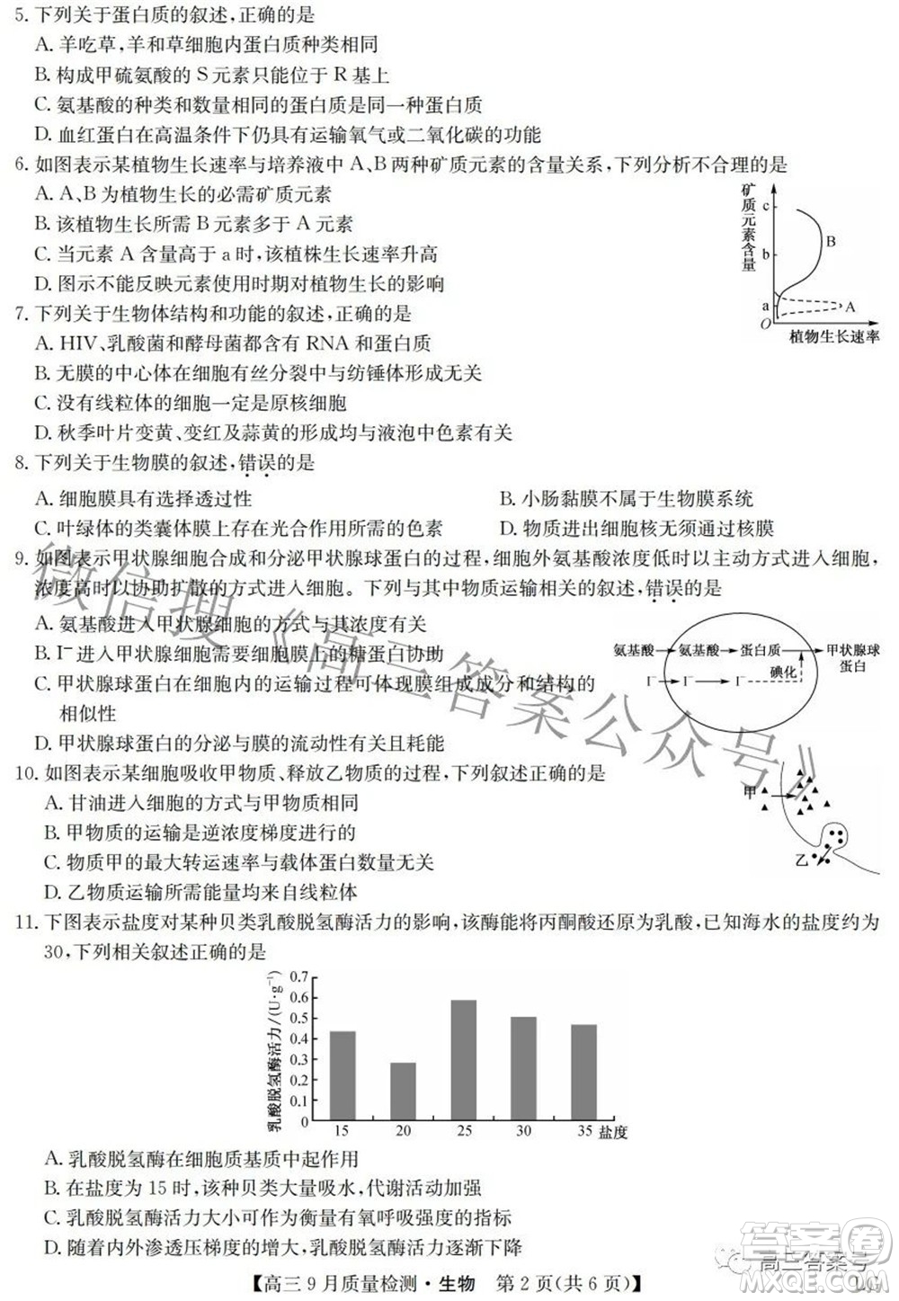 2023屆九師聯(lián)盟高三9月質(zhì)量檢測(cè)鞏固卷LG生物試題及答案