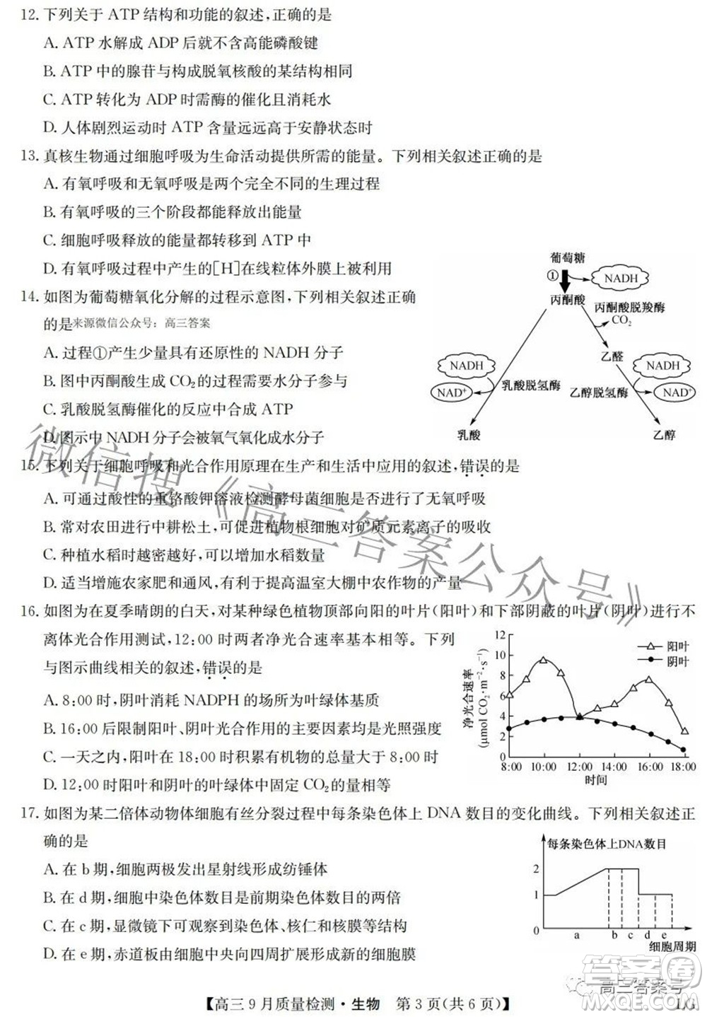 2023屆九師聯(lián)盟高三9月質(zhì)量檢測(cè)鞏固卷LG生物試題及答案