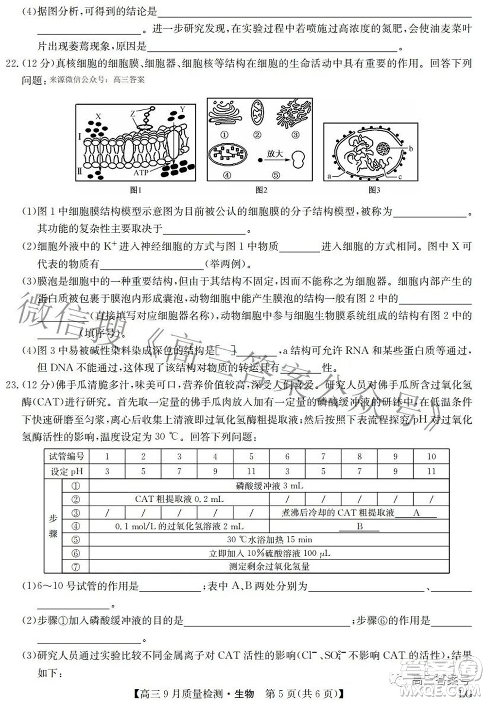 2023屆九師聯(lián)盟高三9月質(zhì)量檢測(cè)鞏固卷LG生物試題及答案