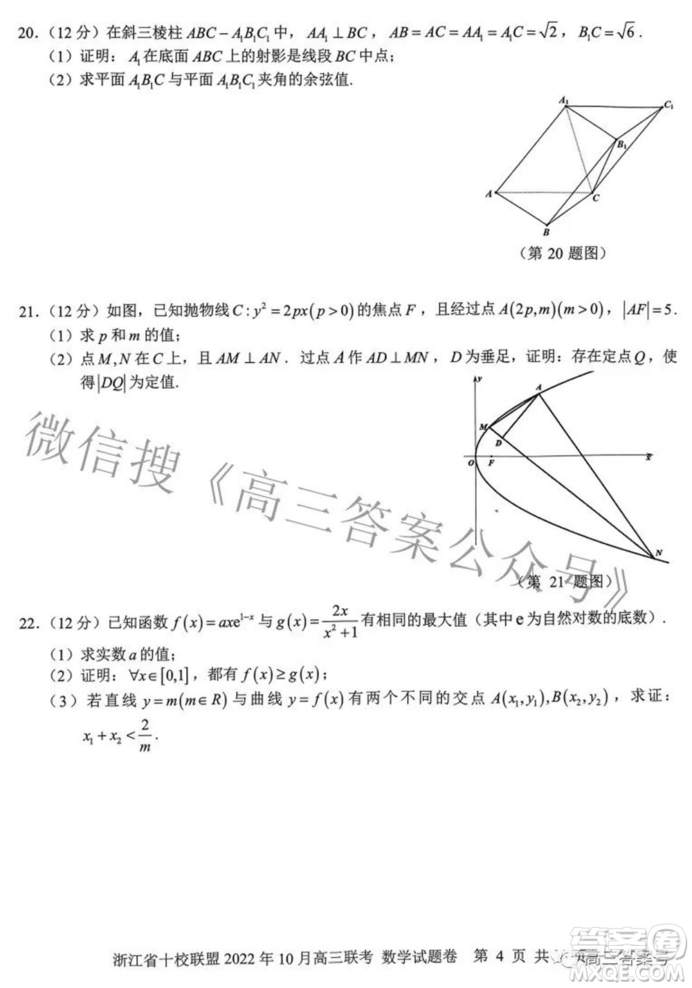 浙江省十校聯(lián)盟2022年10月高三聯(lián)考數(shù)學試題卷及答案