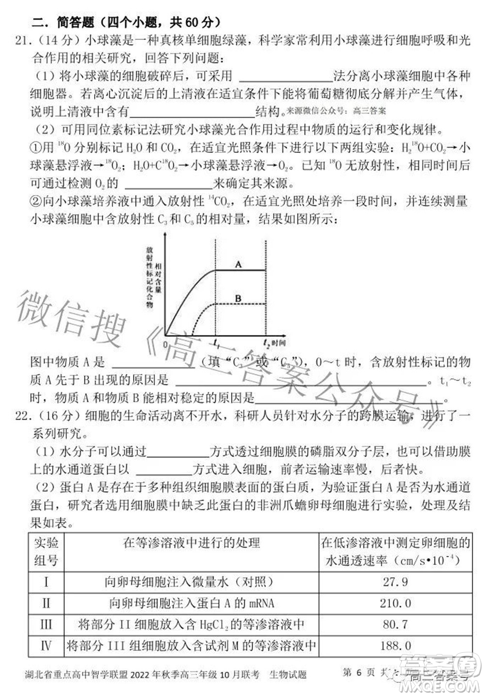 湖北省重點(diǎn)高中智學(xué)聯(lián)盟2022年秋季高三年級(jí)10月聯(lián)考生物試題及答案