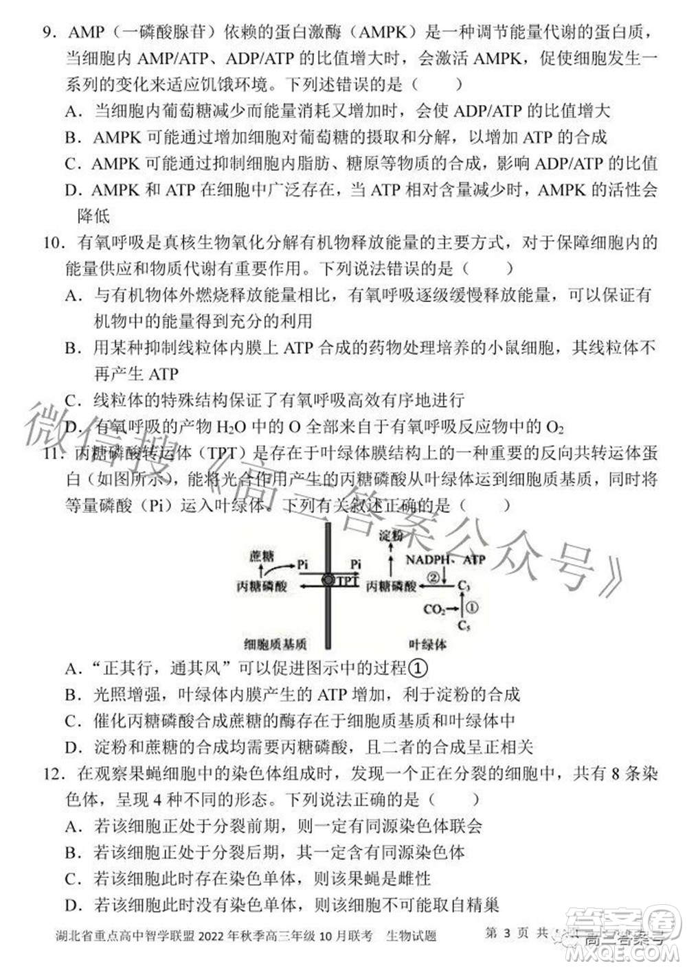 湖北省重點(diǎn)高中智學(xué)聯(lián)盟2022年秋季高三年級(jí)10月聯(lián)考生物試題及答案