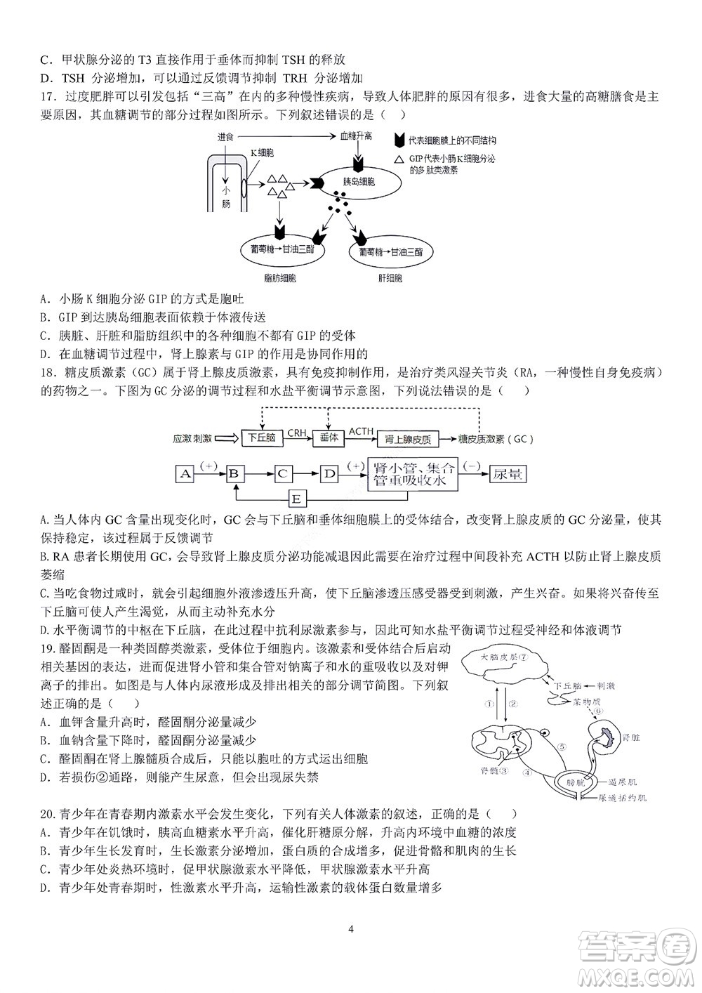 2022學(xué)年第一學(xué)期浙江省精誠聯(lián)盟10月聯(lián)考高二年級生物學(xué)科試題及答案