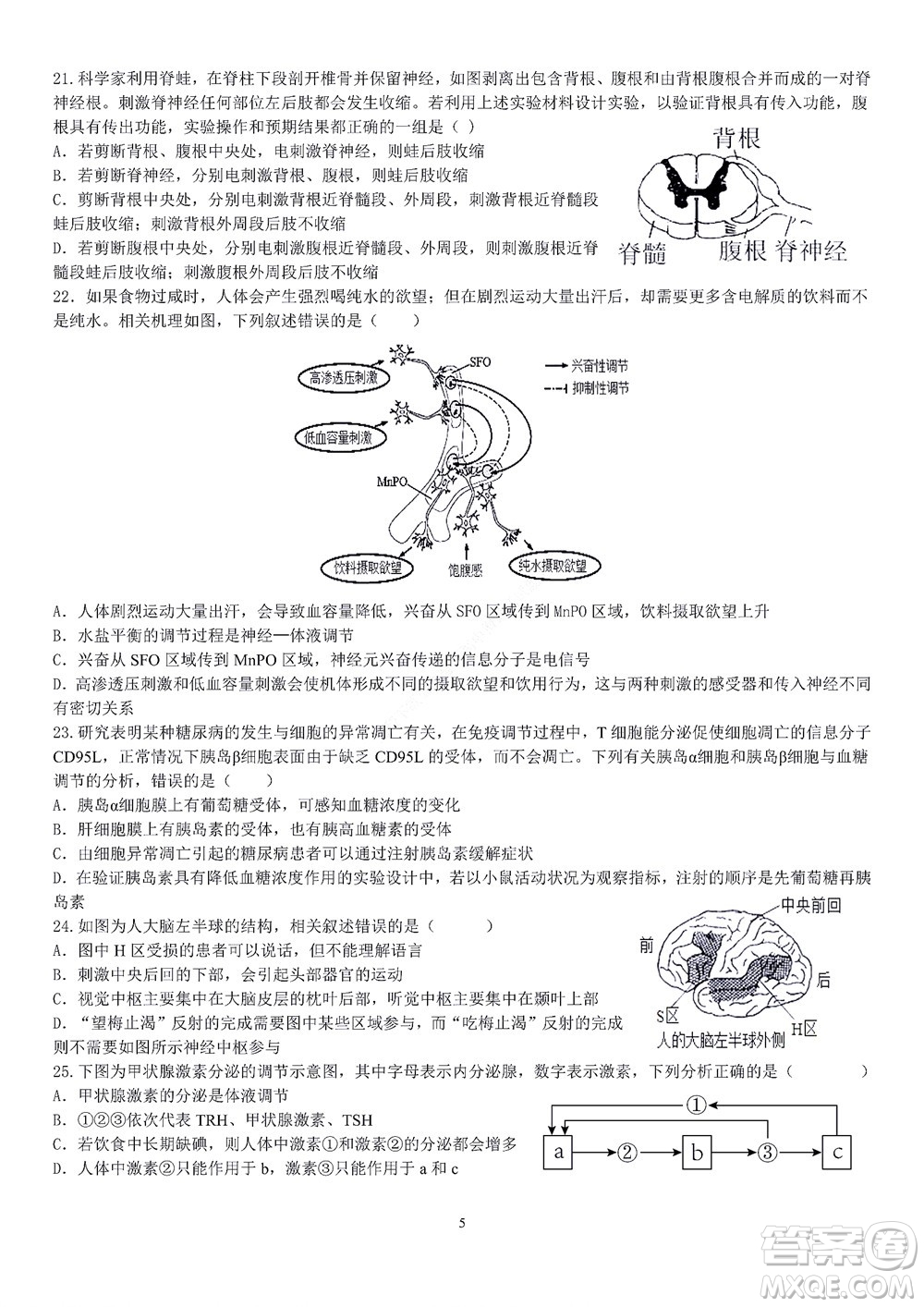 2022學(xué)年第一學(xué)期浙江省精誠聯(lián)盟10月聯(lián)考高二年級生物學(xué)科試題及答案