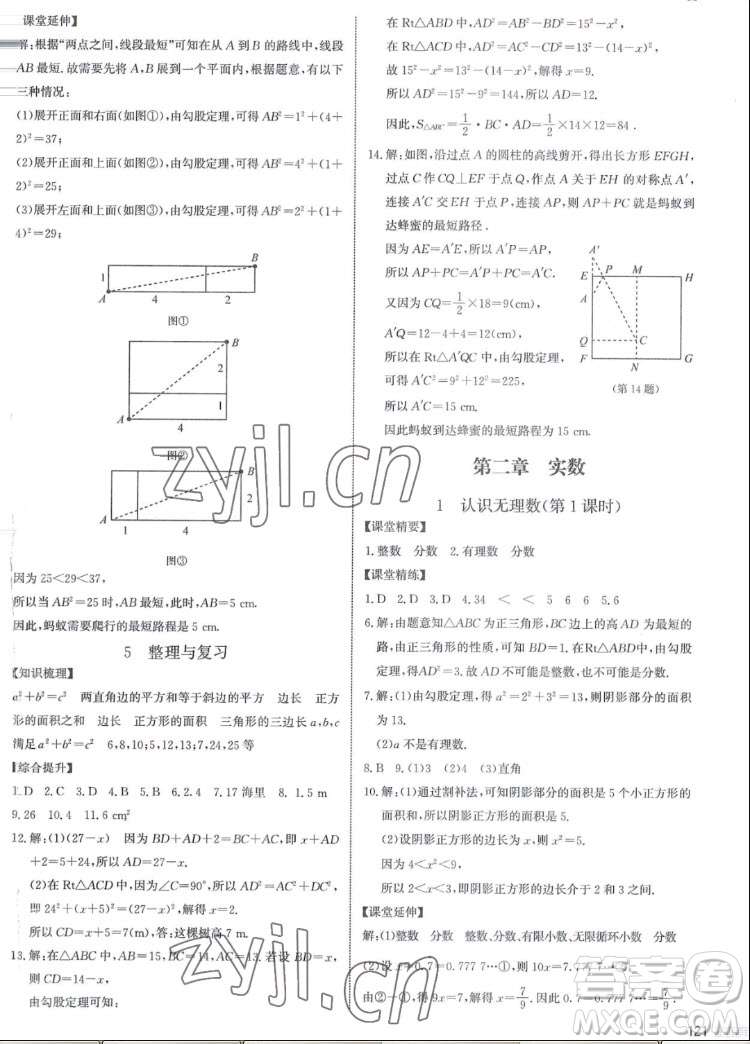 北京師范大學(xué)出版社2022秋課堂精練數(shù)學(xué)八年級(jí)上冊(cè)北師大版江西專(zhuān)版答案