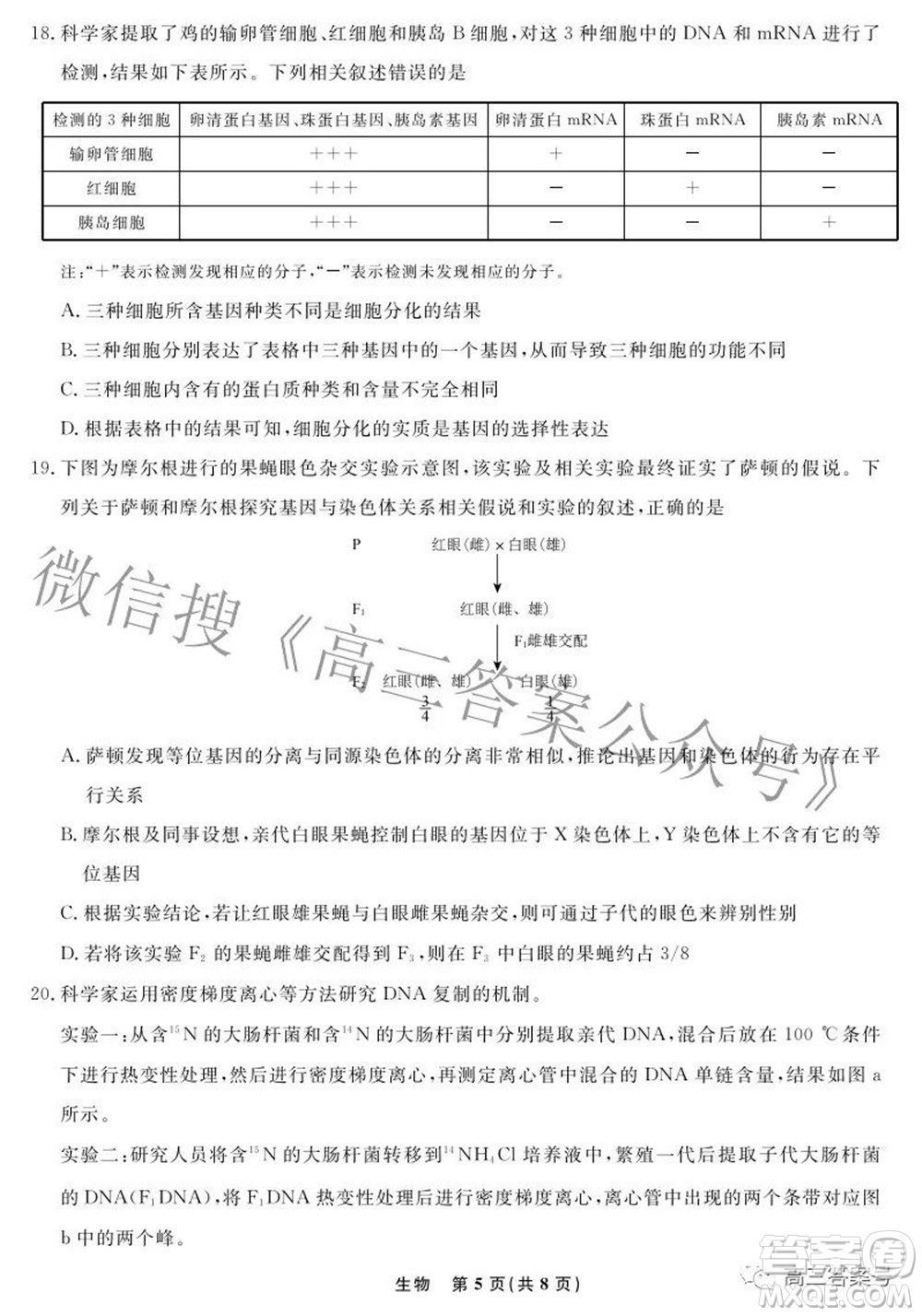 遼寧省名校聯(lián)盟2022年高三10月份聯(lián)合考試生物試題及答案