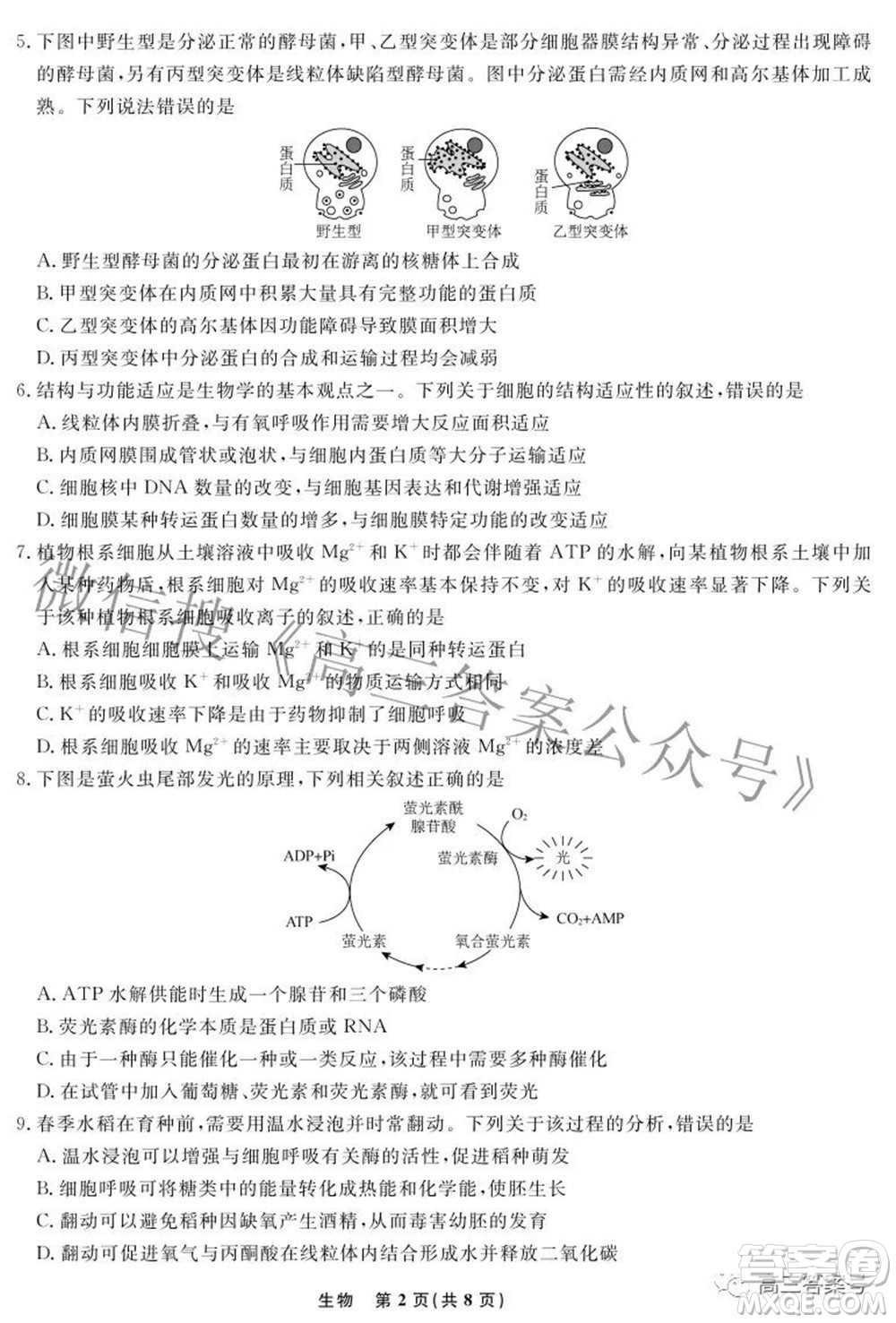 遼寧省名校聯(lián)盟2022年高三10月份聯(lián)合考試生物試題及答案