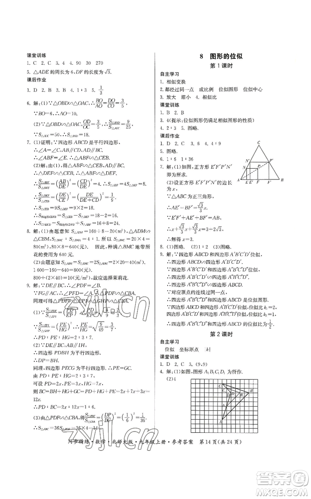 廣東人民出版社2022同步精練九年級上冊數學北師大版參考答案