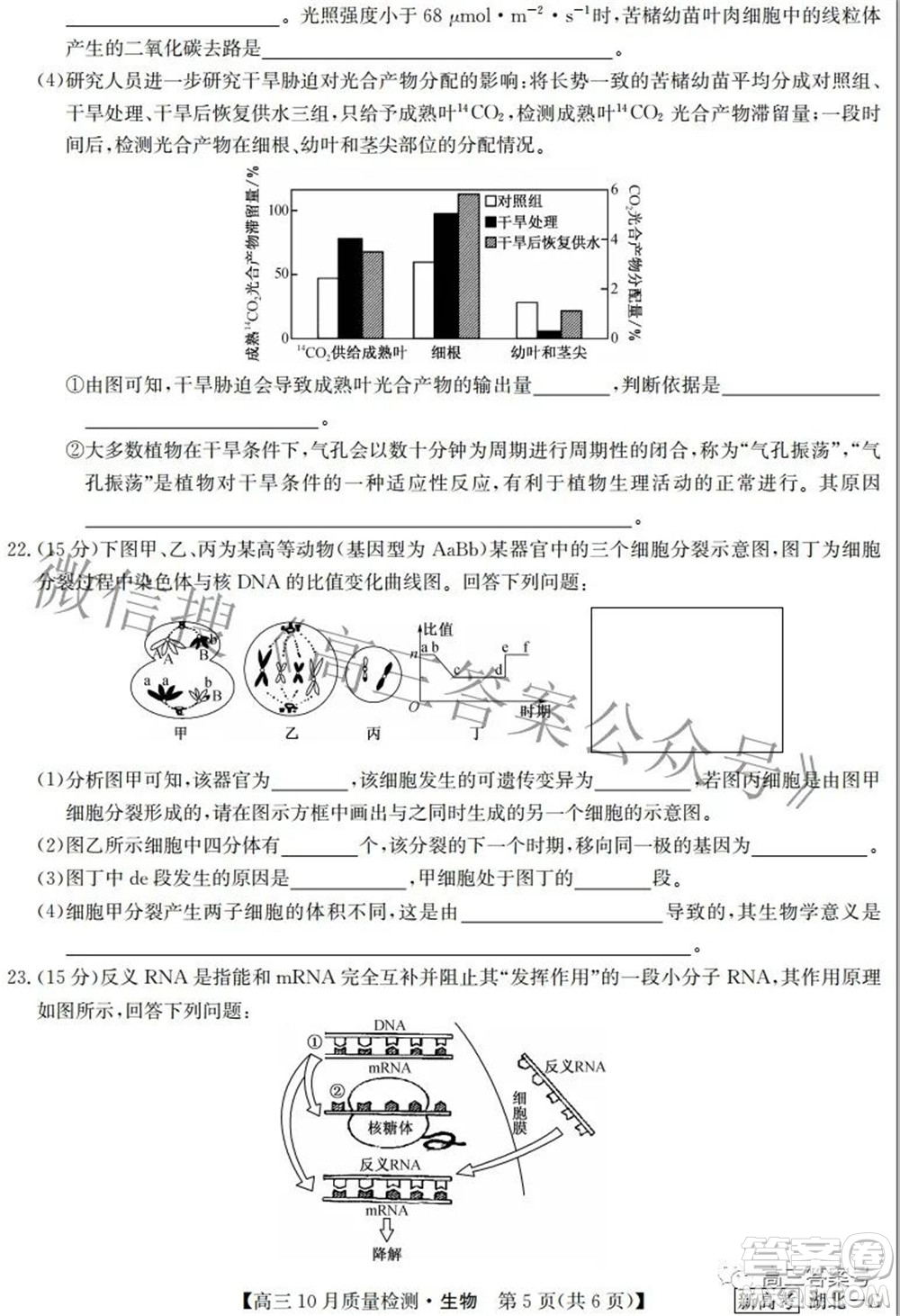 2023屆九師聯(lián)盟新高考高三10月質(zhì)量檢測(cè)鞏固卷生物試題及答案