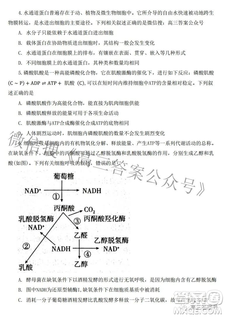 河北省2023屆高三年級大數(shù)據(jù)應(yīng)用調(diào)研聯(lián)合測評生物試題及答案