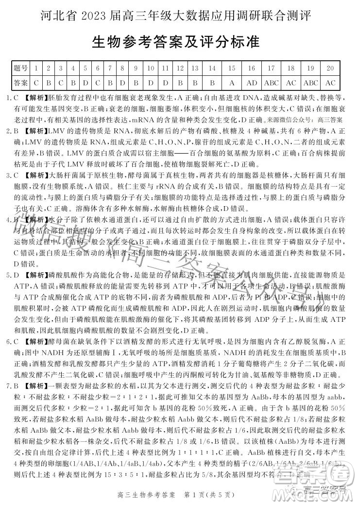 河北省2023屆高三年級大數(shù)據(jù)應(yīng)用調(diào)研聯(lián)合測評生物試題及答案