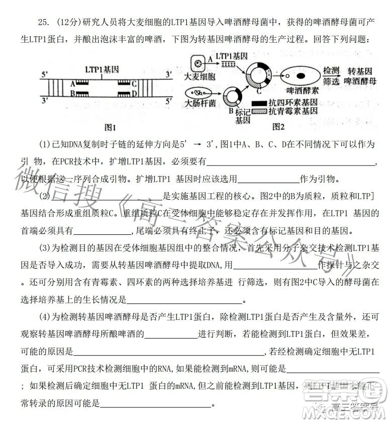 河北省2023屆高三年級大數(shù)據(jù)應(yīng)用調(diào)研聯(lián)合測評生物試題及答案