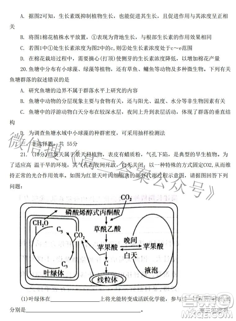 河北省2023屆高三年級大數(shù)據(jù)應(yīng)用調(diào)研聯(lián)合測評生物試題及答案