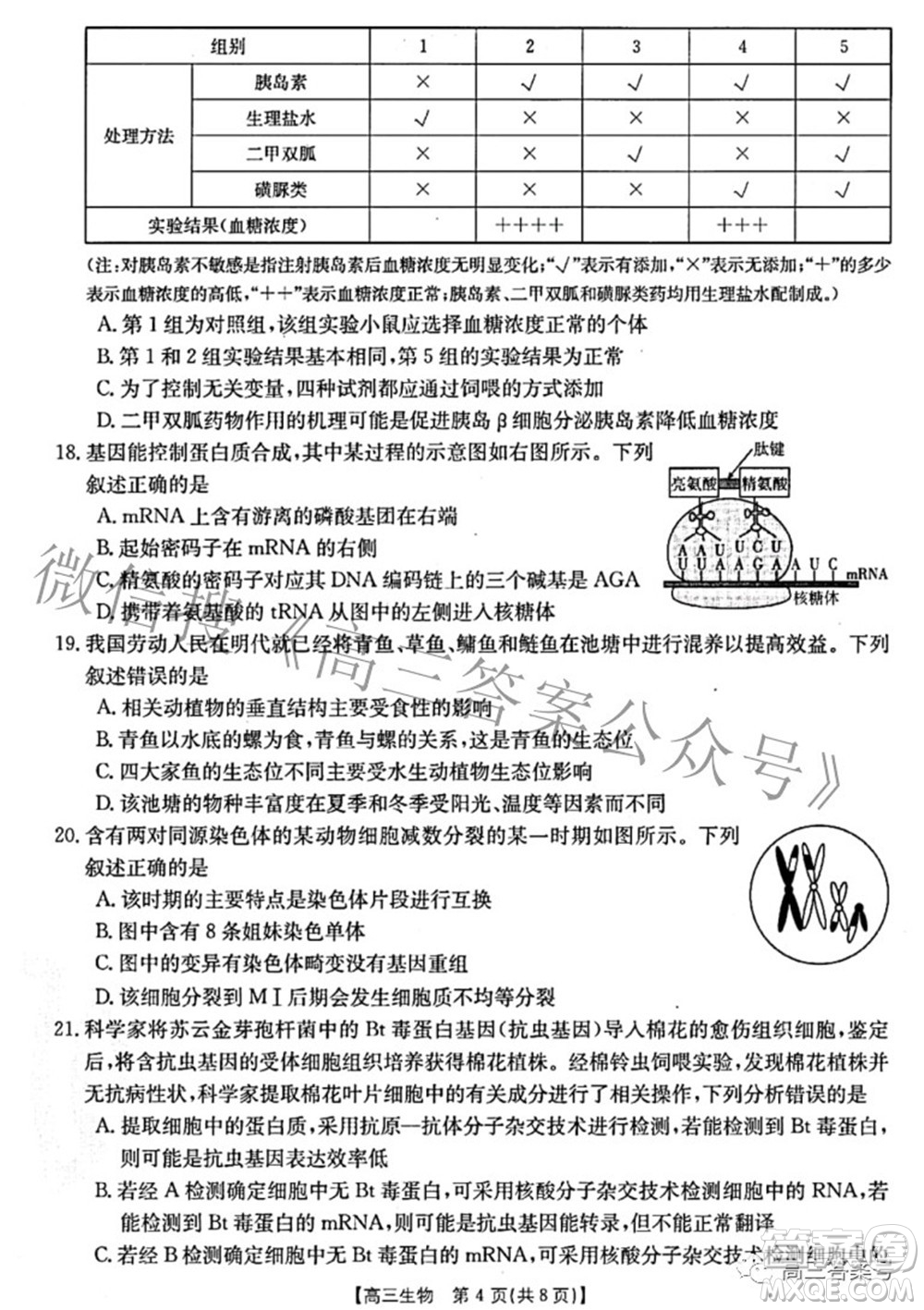 2022-2023學年高三浙里卷天下10月測試生物試題及答案