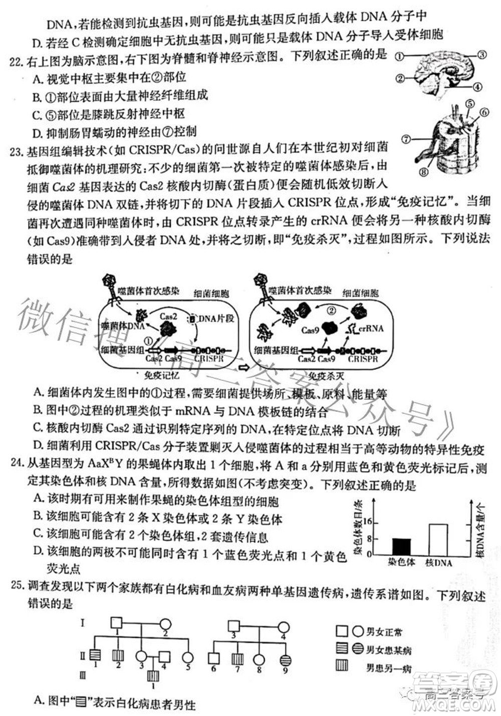 2022-2023學年高三浙里卷天下10月測試生物試題及答案