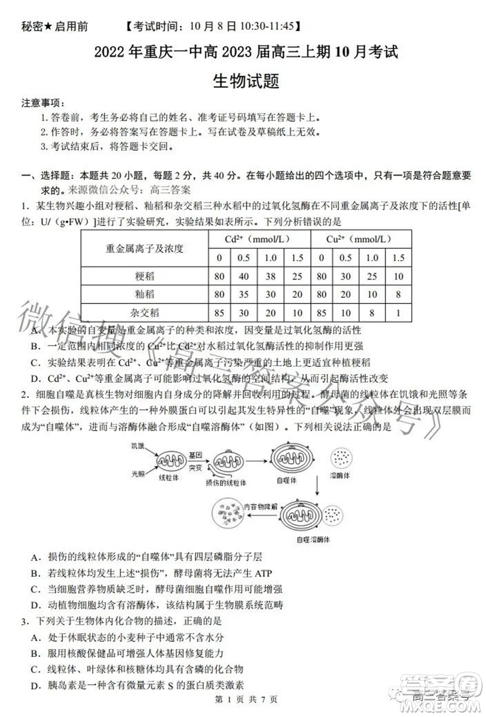 2022年重慶一中高2023屆10月月考生物試題及答案