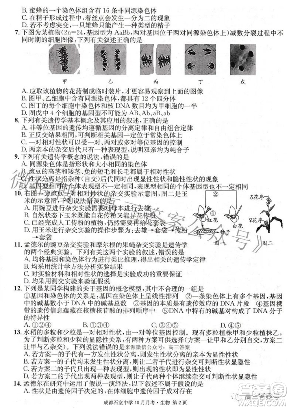 成都石室中學(xué)2022-2023學(xué)年度上期高2023屆10月月考生物試題及答案