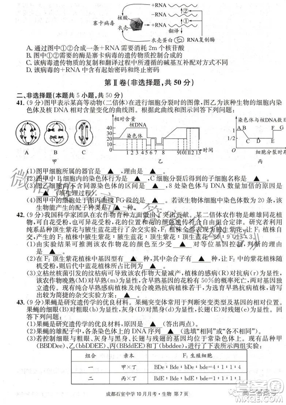 成都石室中學(xué)2022-2023學(xué)年度上期高2023屆10月月考生物試題及答案