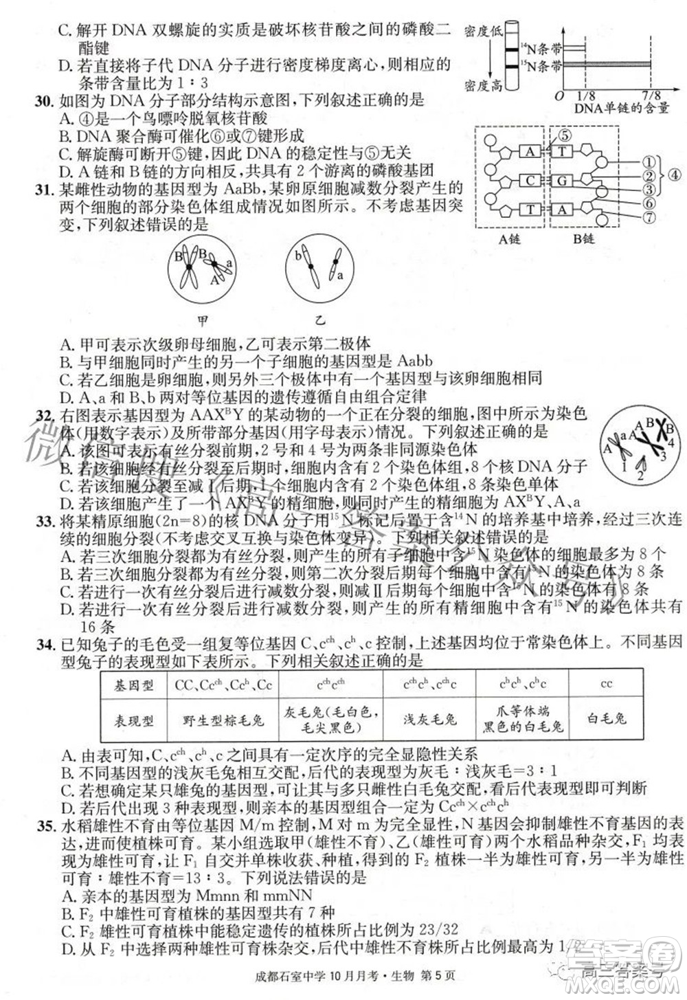 成都石室中學(xué)2022-2023學(xué)年度上期高2023屆10月月考生物試題及答案