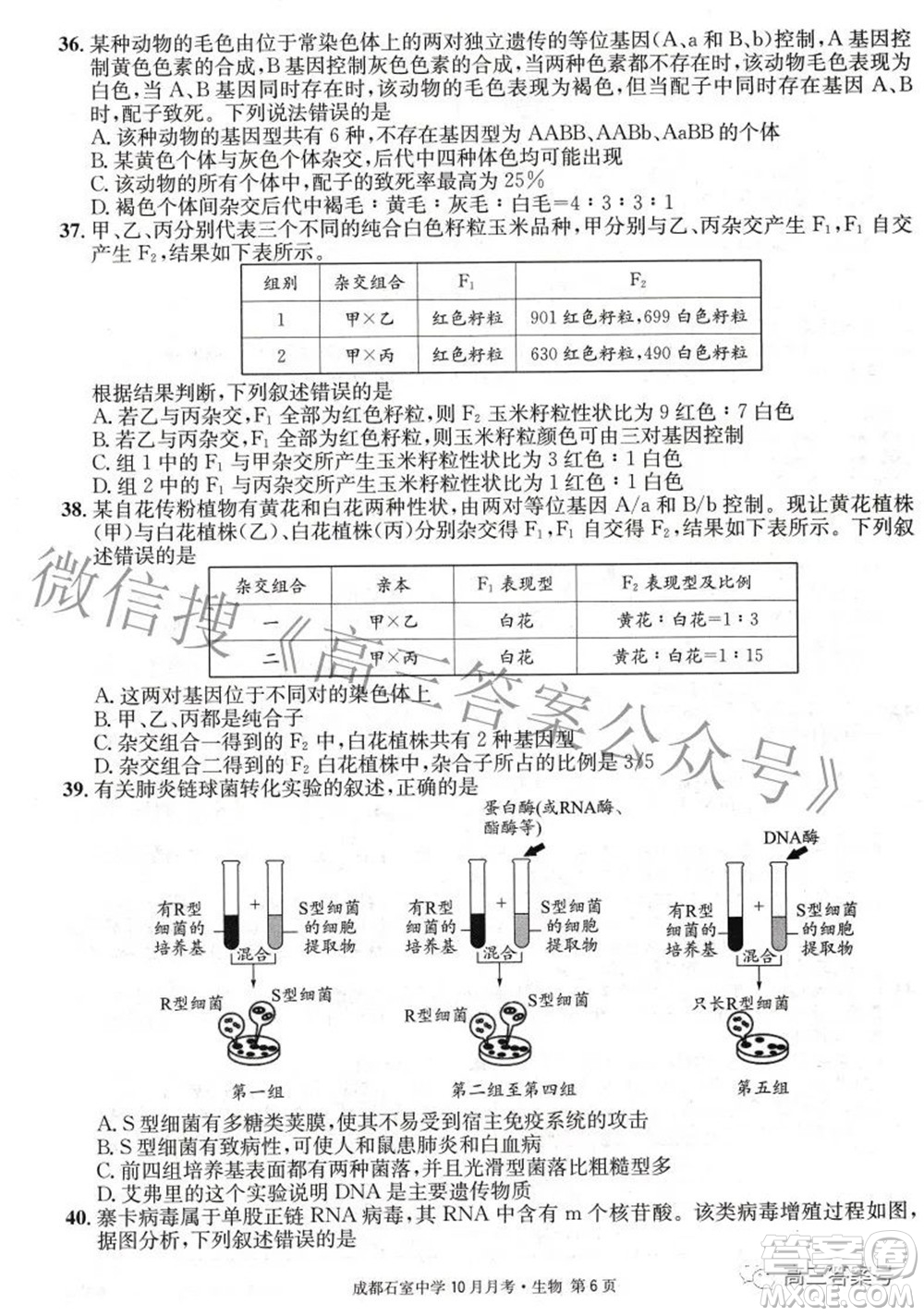 成都石室中學(xué)2022-2023學(xué)年度上期高2023屆10月月考生物試題及答案