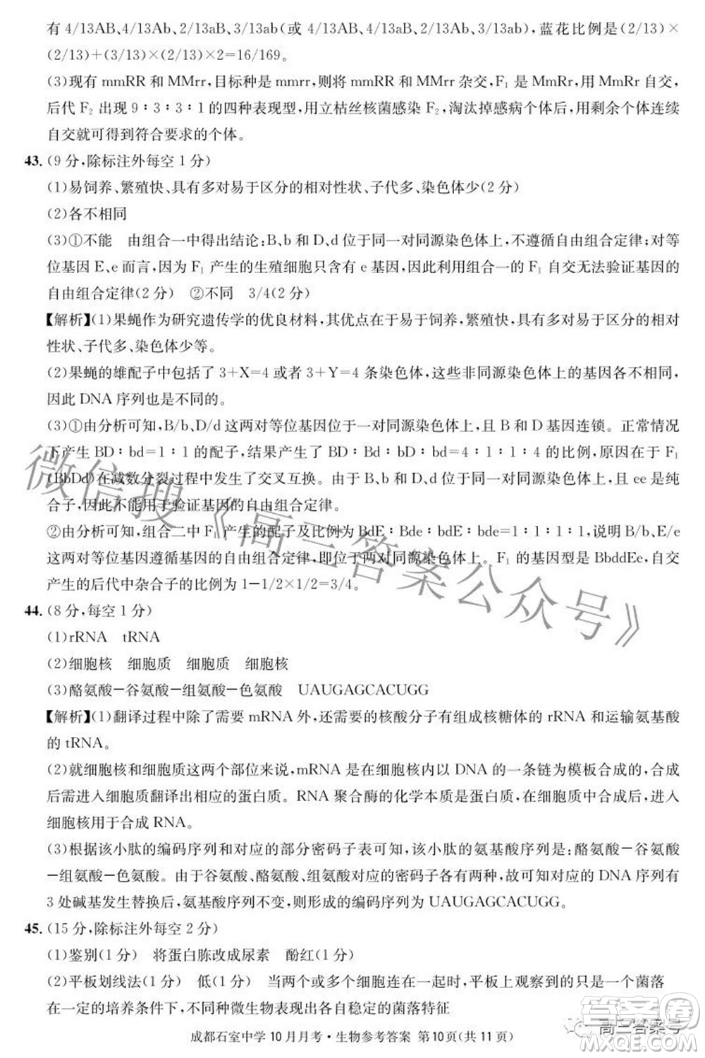 成都石室中學(xué)2022-2023學(xué)年度上期高2023屆10月月考生物試題及答案