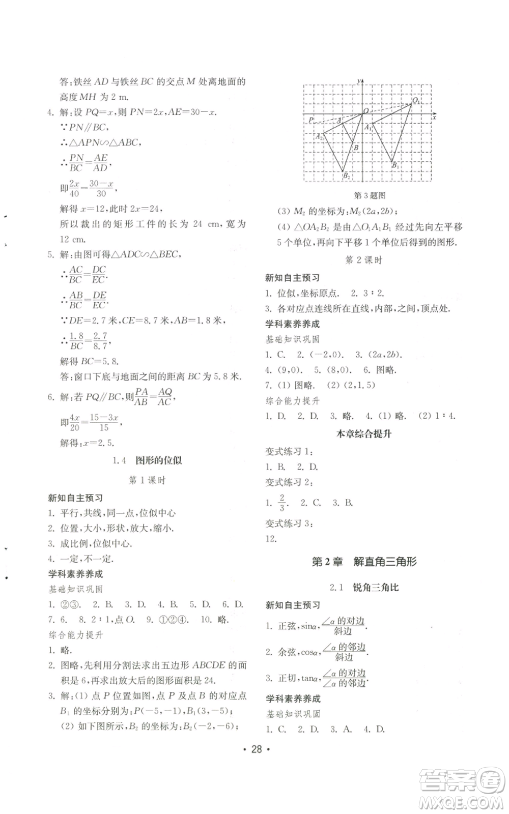 山東教育出版社2022初中基礎(chǔ)訓(xùn)練九年級(jí)上冊(cè)數(shù)學(xué)人教版參考答案