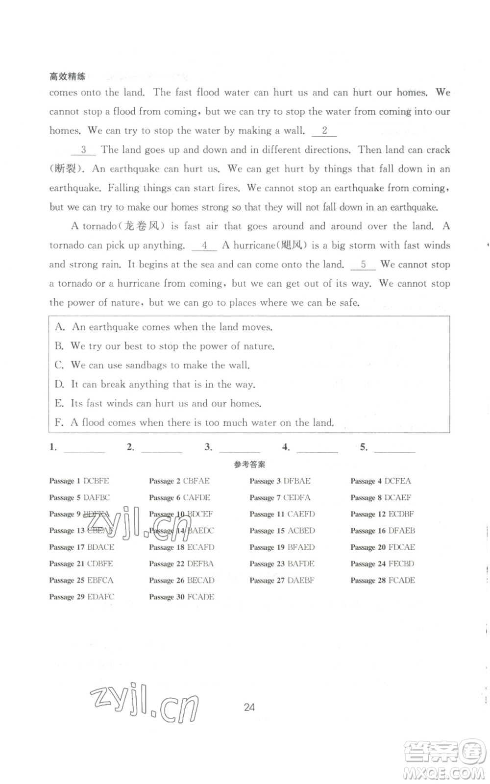 安徽人民出版社2022高效精練八年級上冊英語人教版參考答案