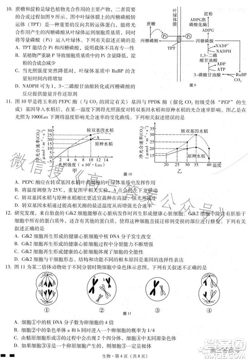 巴蜀中學2023屆高考適應性月考卷三生物試題及答案