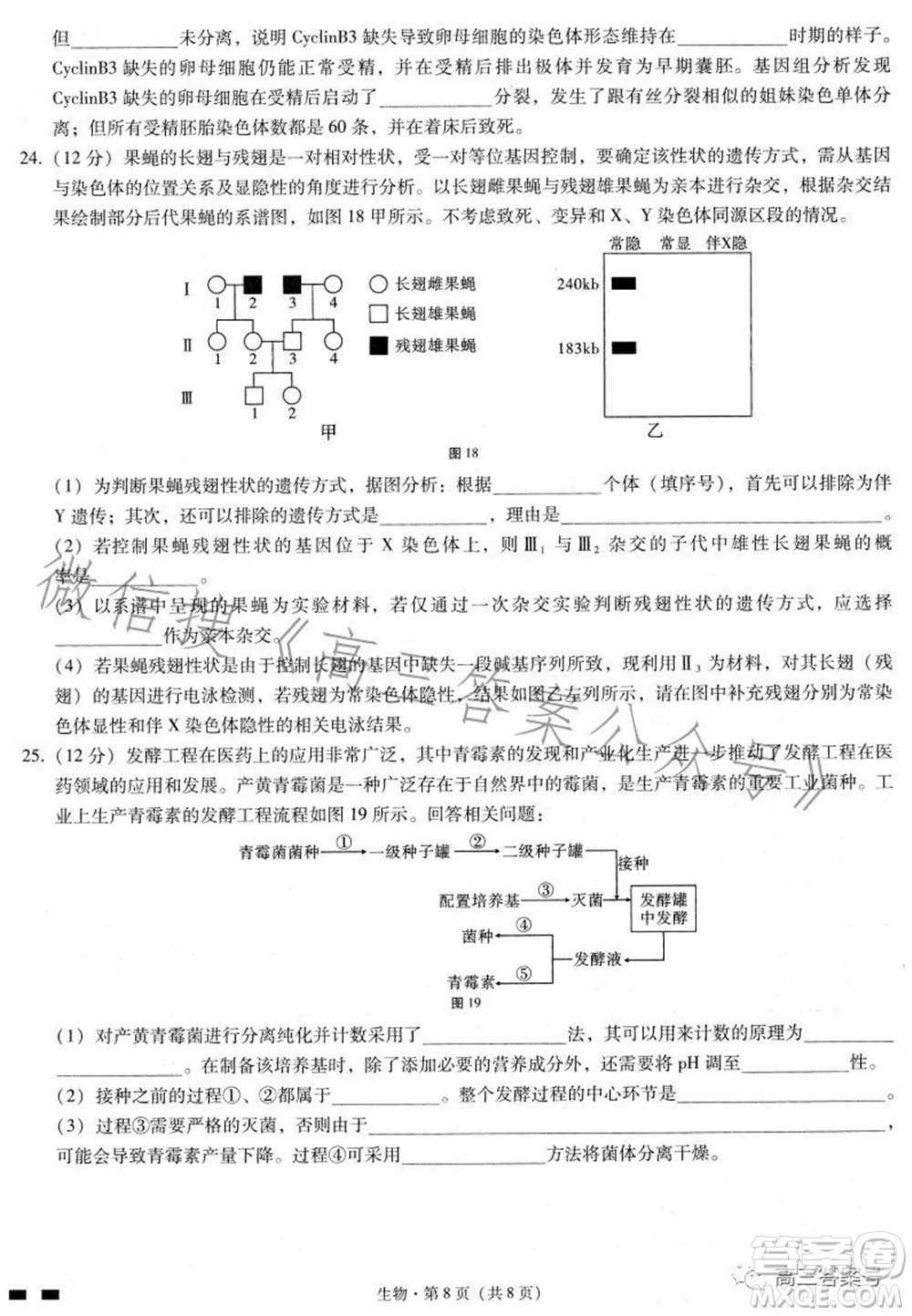 巴蜀中學2023屆高考適應性月考卷三生物試題及答案