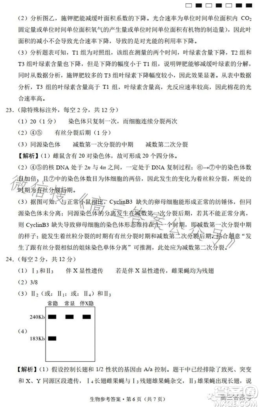 巴蜀中學2023屆高考適應性月考卷三生物試題及答案