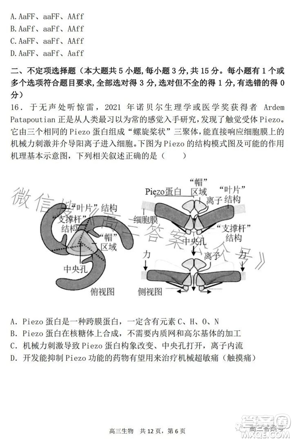 遼寧2022-2023六校協(xié)作體高三10月份聯(lián)合考試生物試題及答案