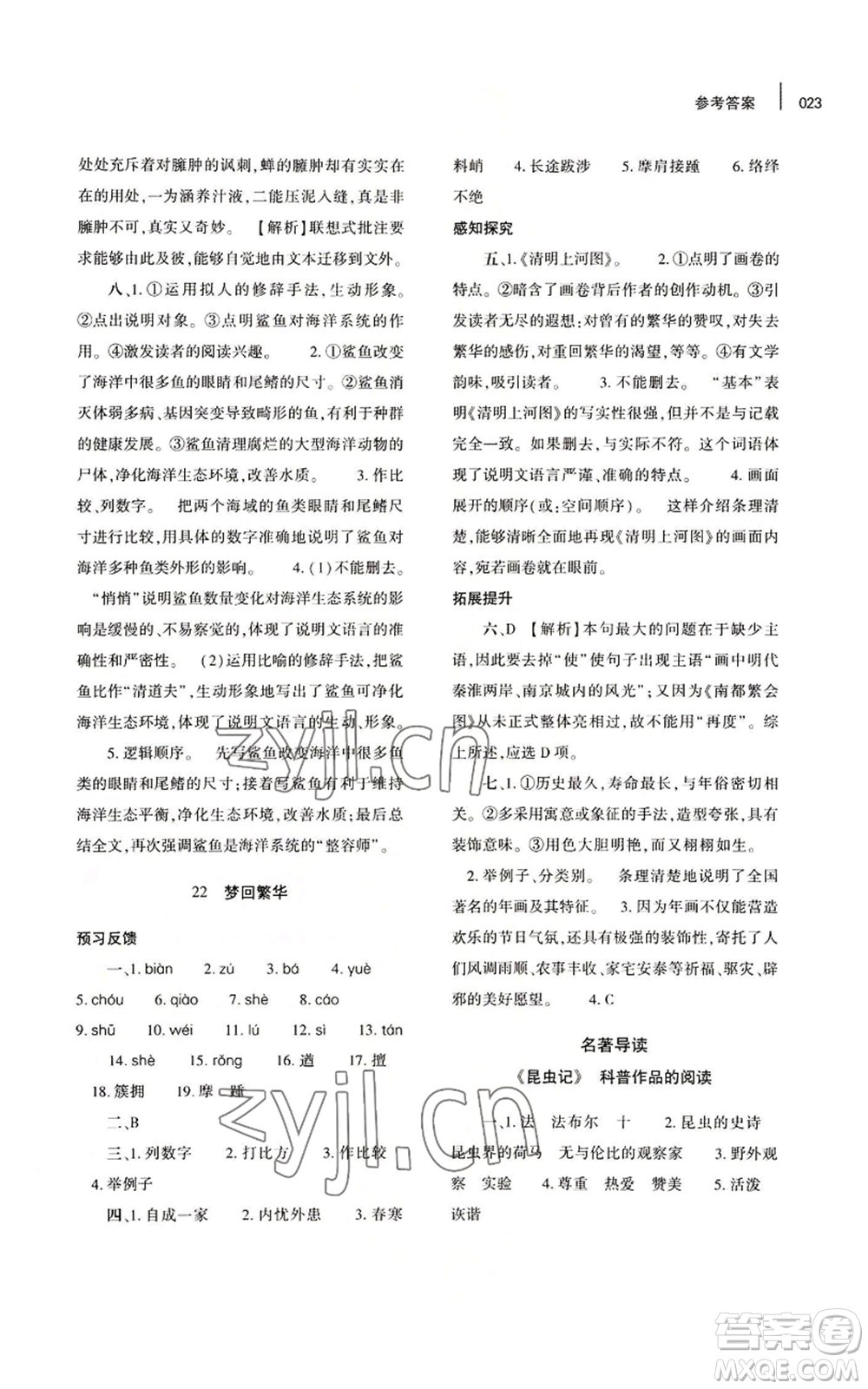 大象出版社2022基礎(chǔ)訓(xùn)練八年級(jí)上冊(cè)語(yǔ)文人教版參考答案